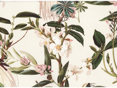 Baumwollstoff fest Paradiesvogel 