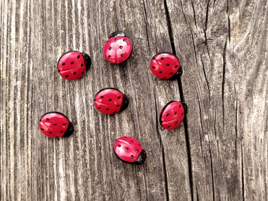 Knopf Marienkäfer 14mm rot 