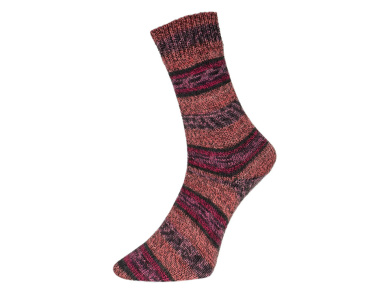 Pro Lana Golden Socks 6-fädig ALBTAL Farbe 638 