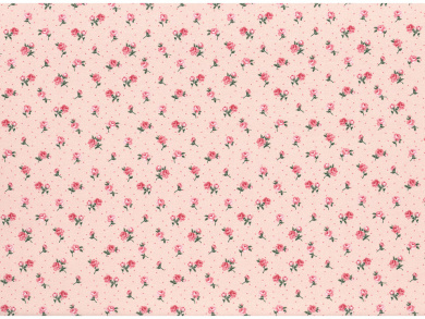 Jersey mit Röschen altrosa Avalana 