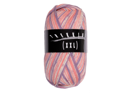 Atelier Zitron Trekking Color 4-fädig Farbe 717