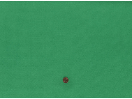 Canvas grün 