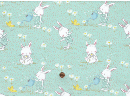 Jersey Hase 