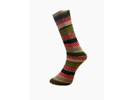 FERNER Mally Socks Weihnachtsedition 6-fädig 221222