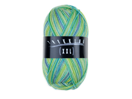 Atelier Zitron Trekking Color 4-fädig Farbe 806