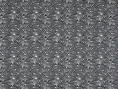 Baumwollstoff Zebraherde 
