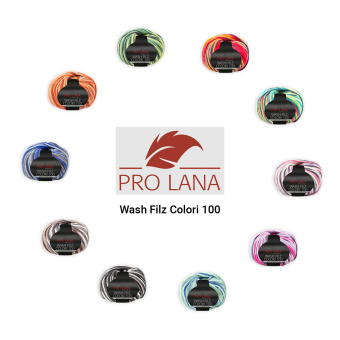 Pro Lana Wash-Filz colori 100 