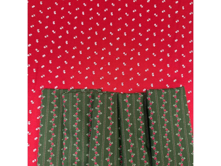 Dirndl-Paket rot-grün 