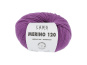 0466 FUCHSIA