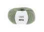 0091 salbei