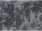 morepic-1