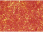 morepic-1