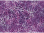 morepic-1