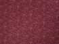 morepic-1