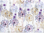 morepic-1