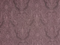 morepic-1