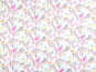 morepic-1
