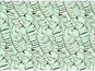 morepic-1