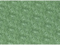morepic-1