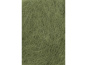 morepic-2