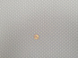 morepic-2