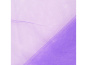 morepic-2