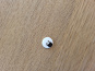 morepic-2