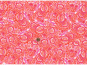 morepic-2