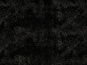 morepic-2