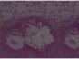 morepic-3