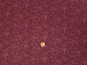 morepic-3