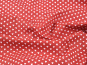 morepic-3