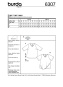 morepic-4